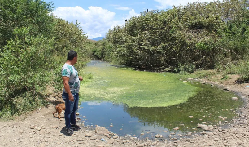 Convivir con la basura: un conflicto ambiental, social, político
