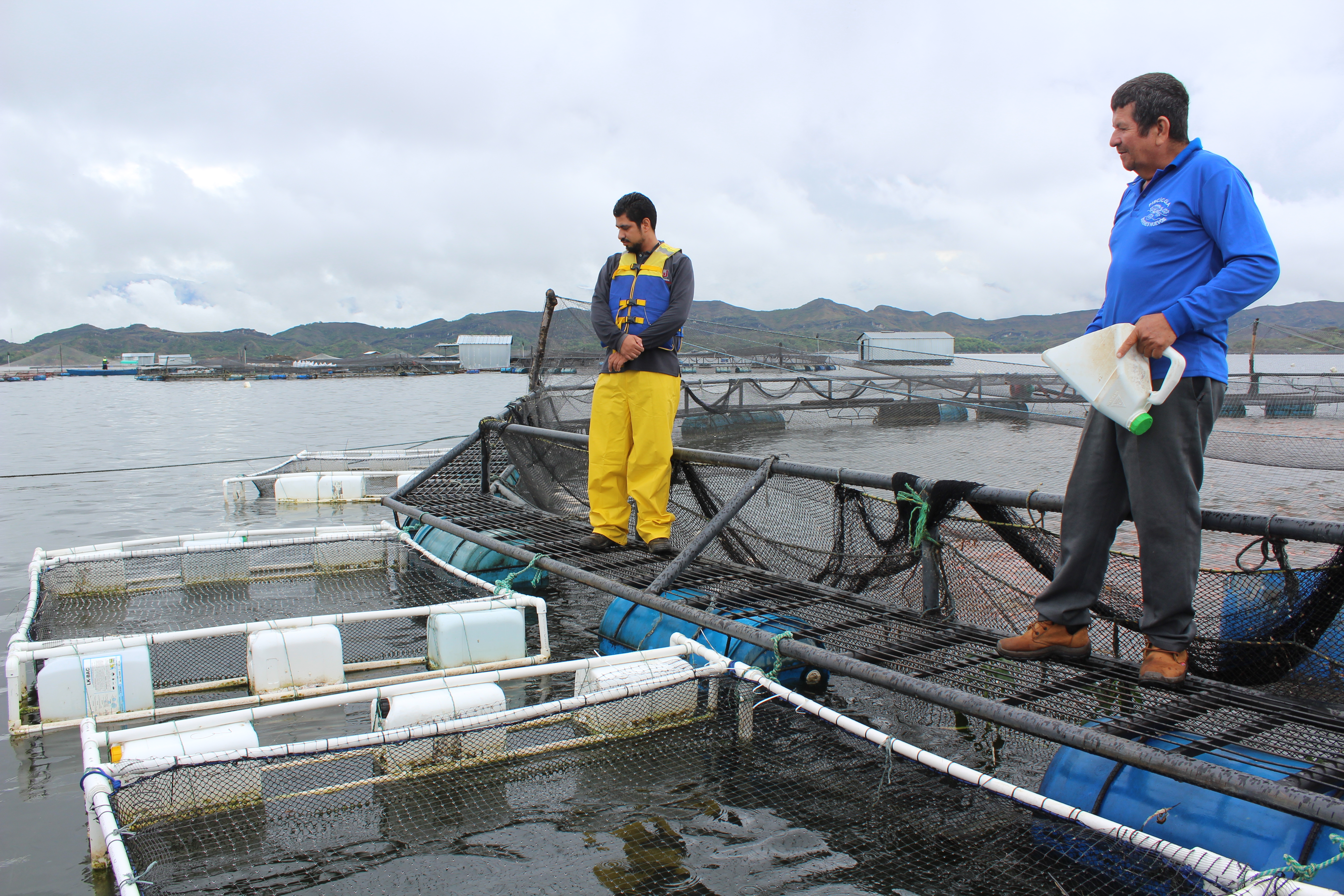 USCO tendrá el primer laboratorio de aislamiento para virus de tilapia TiLV de Latinoamérica